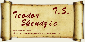 Teodor Skendžić vizit kartica